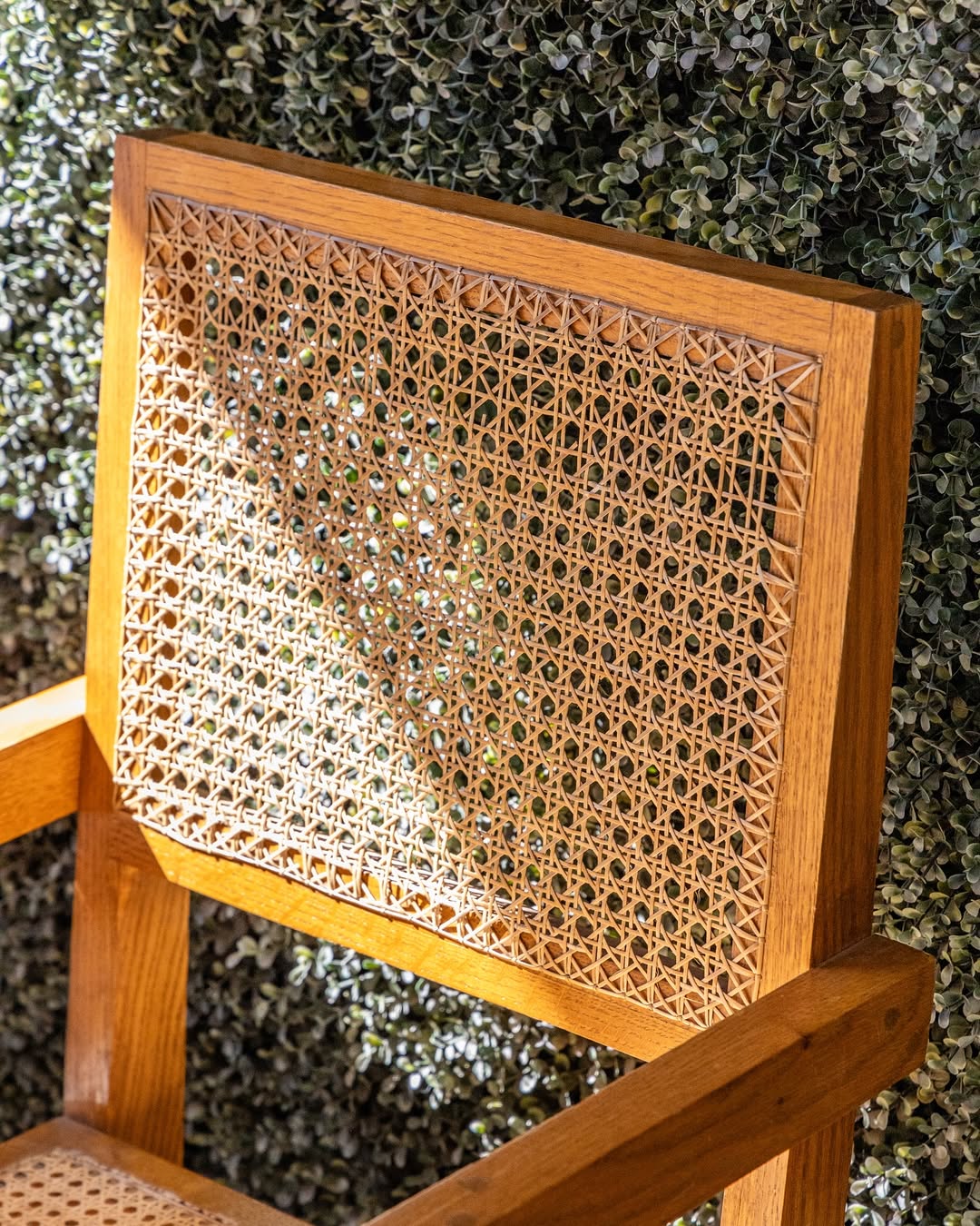 Silla Josefina Marron